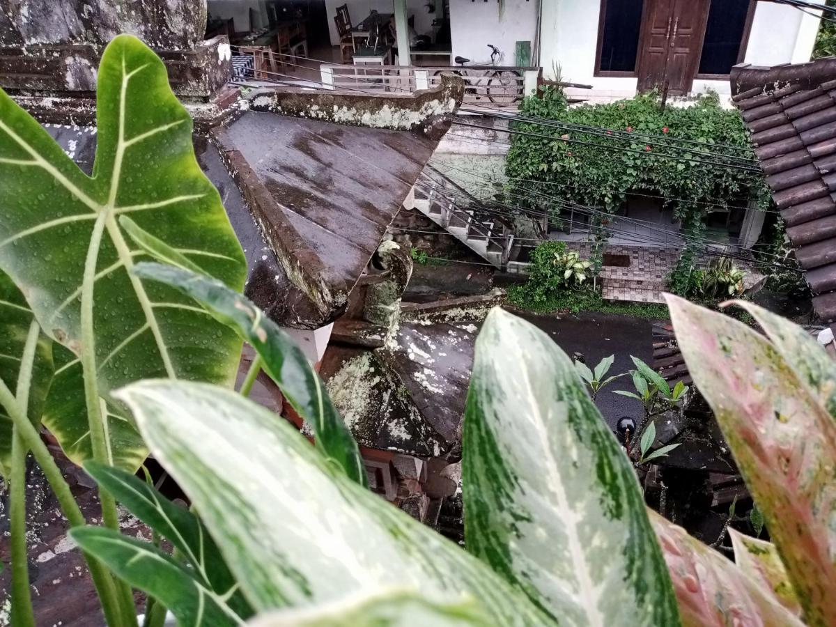 Wah Teja Homestay Ubud Zewnętrze zdjęcie